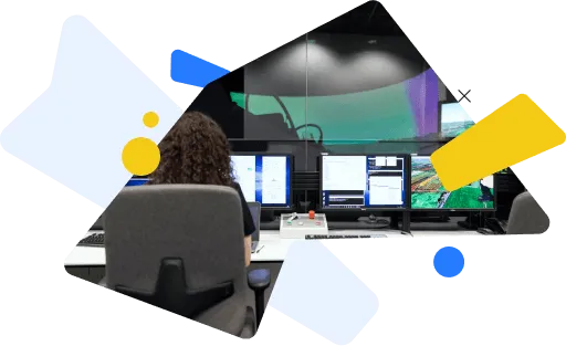 Software Implementation And Customization