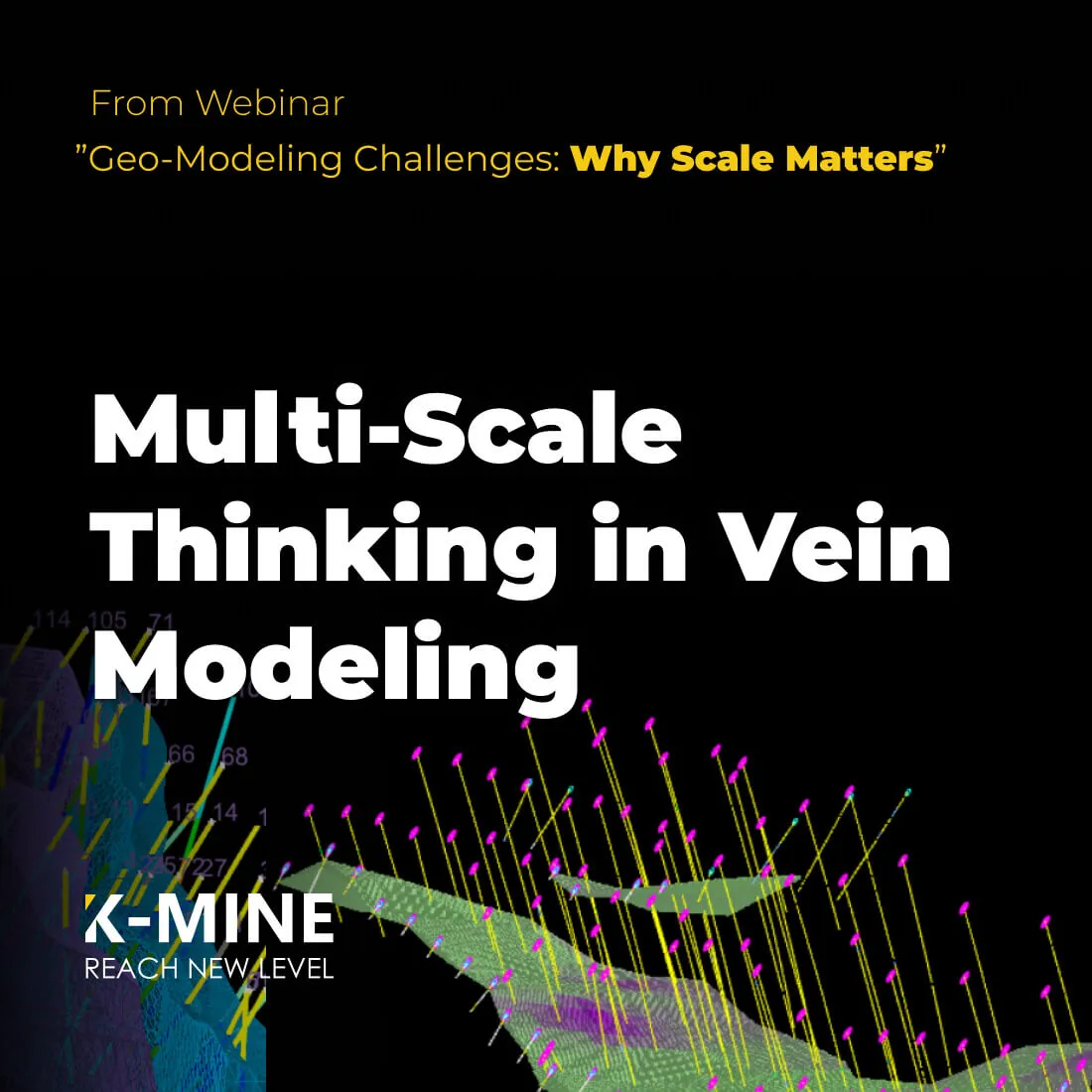Multi-Scale Thinking in Vein Modeling