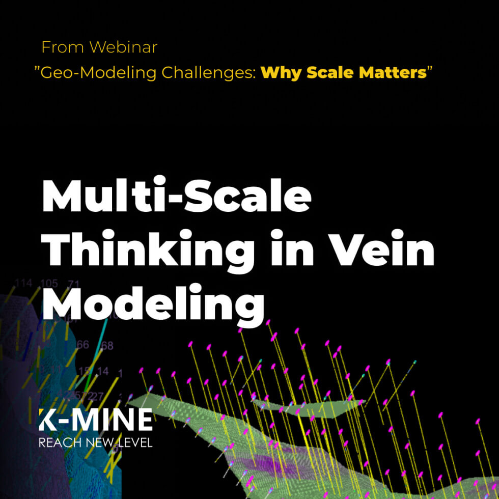 Multi-Scale Thinking in Vein Modeling